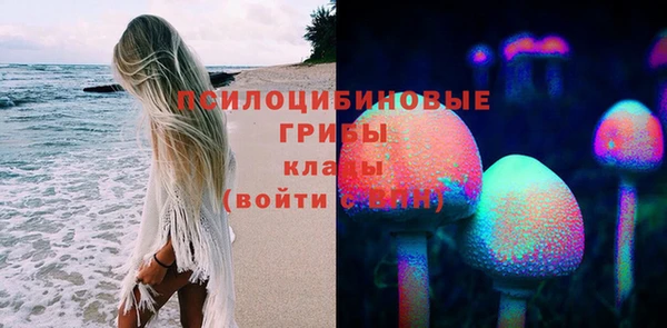 герыч Алексин