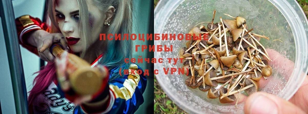 прущие крисы Алзамай