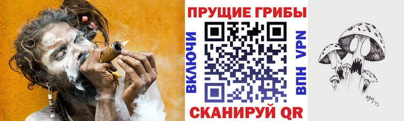 МЕГА как войти  Советская Гавань  Псилоцибиновые грибы мухоморы  купить  цена 
